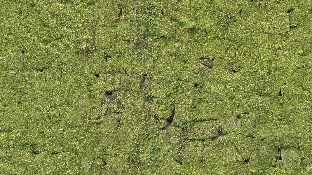 BrickOldOvergrown0034 - Free Background Texture - moss mossy wall japan