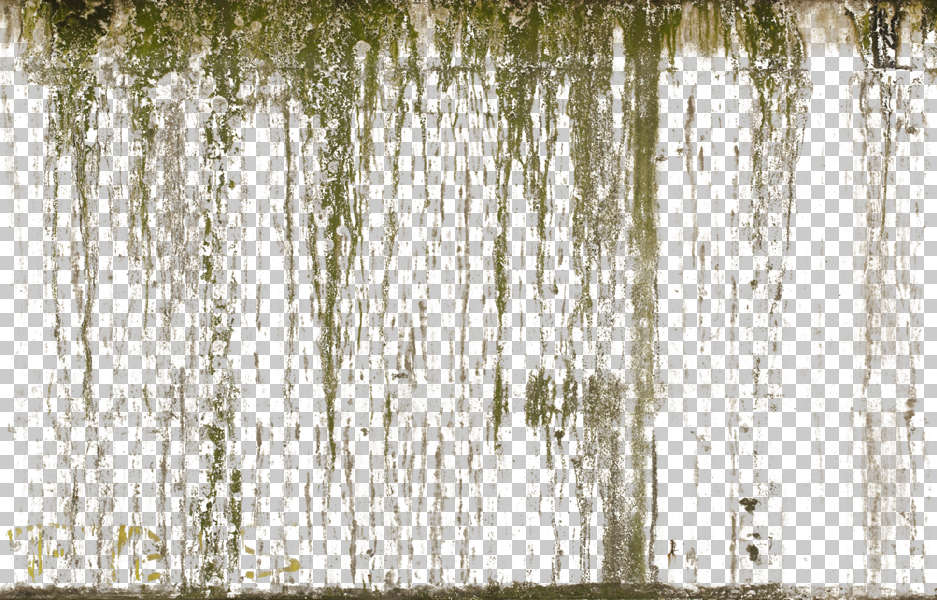 DecalLeakingMossy0005 - Free Background Texture - decal leaking alpha