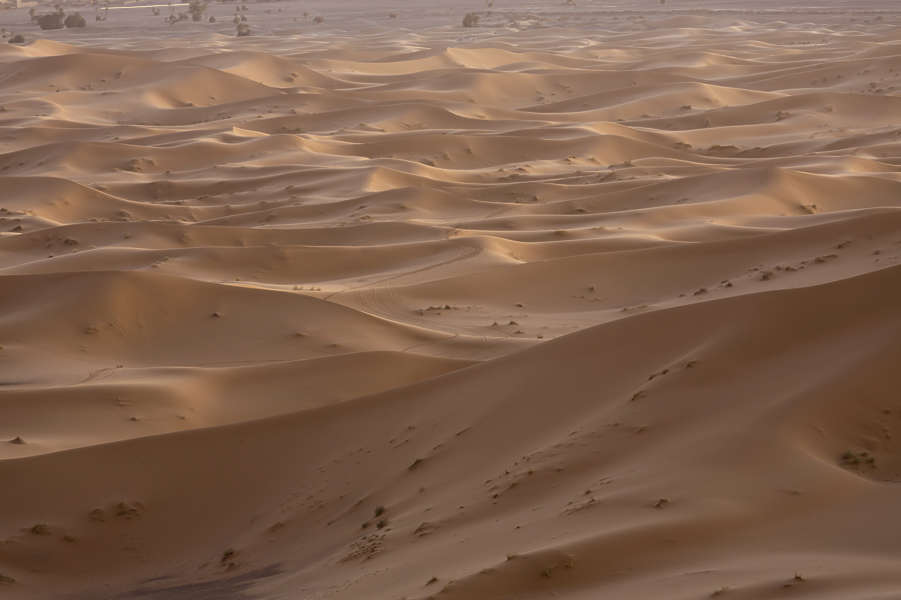LandscapeDesert0041 - Free Background Texture - desert landscape dunes