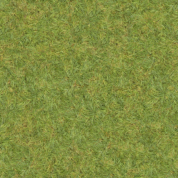 Grass0130 - Free Background Texture - grass short green seamless