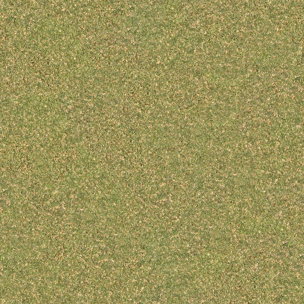 Grass0127 - Free Background Texture - grass short yellow green seamless