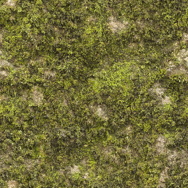 Moss0177 Free Background Texture Moss Mossy Green Seamless Seamless