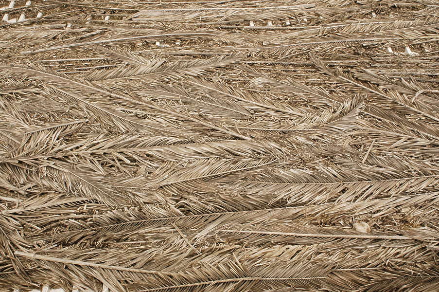 Thatched0031 - Free Background Texture - roof roofing palm leaf