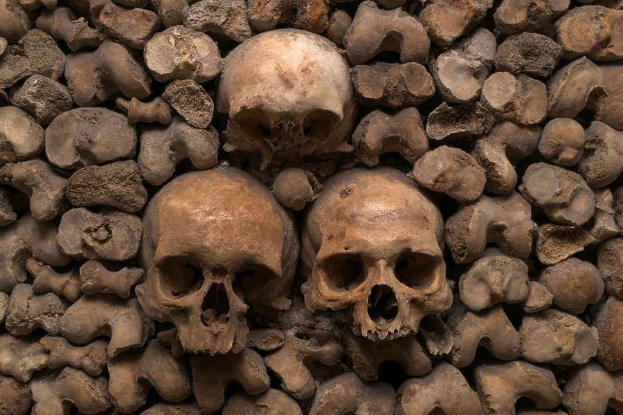 Bones0074 - Free Background Texture - bones skull skeleton human crypt