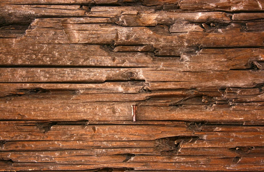 WoodRough0083 - Free Background Texture - wood closeup old splinters