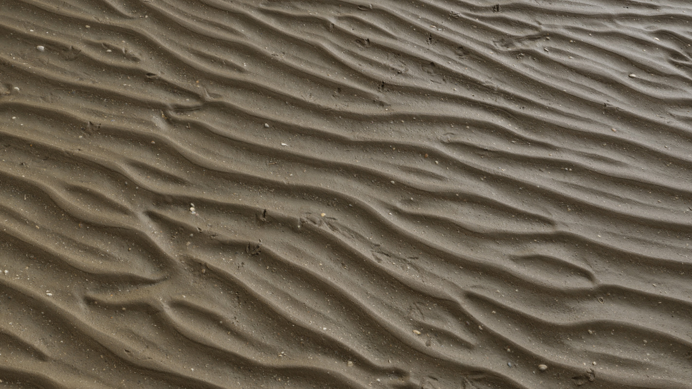 3D Scanned Wet Sand - 3x3 meters