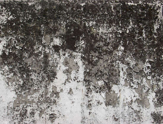 ConcreteDirty0054 - Free Background Texture - concrete dirty gradient ...