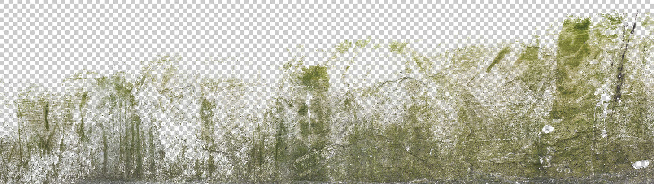 Decalbottom0028 Free Background Texture Stain Mossy Moss Decal