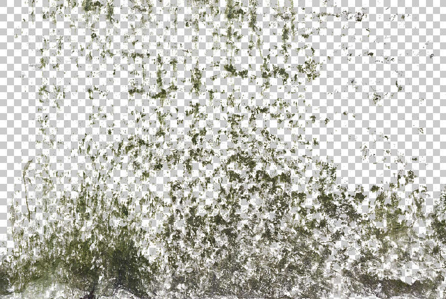 Decalbottom0038 Free Background Texture Stain Mossy Moss Decal