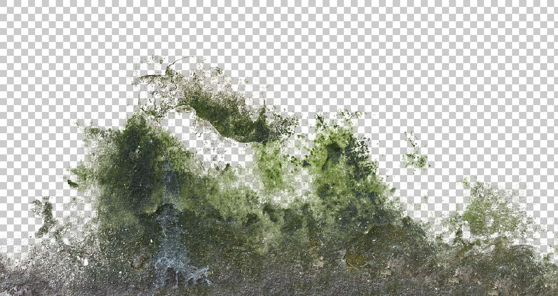 bottom alpha texture moss stain textures decal dark