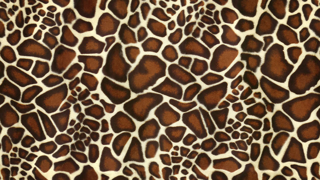 Camouflage0011 - Free Background Texture - fabric giraffe camouflage