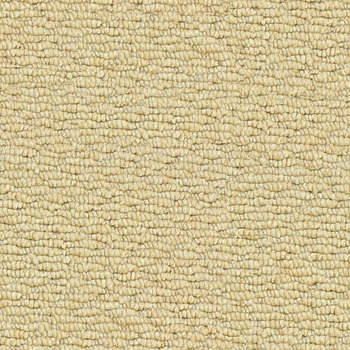 Carpet & Rug Texture: Background Images & Pictures