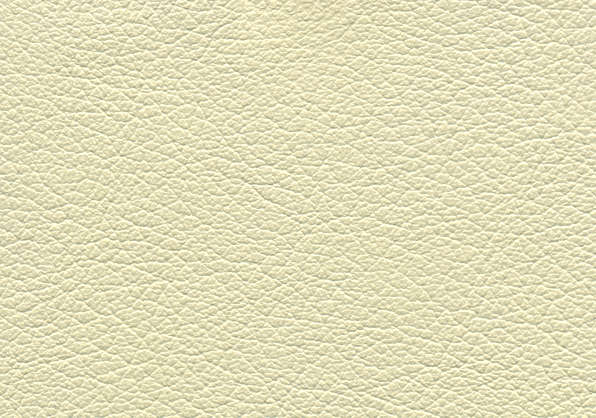 Leather0045 - Free Background Texture - leather skin fine human white