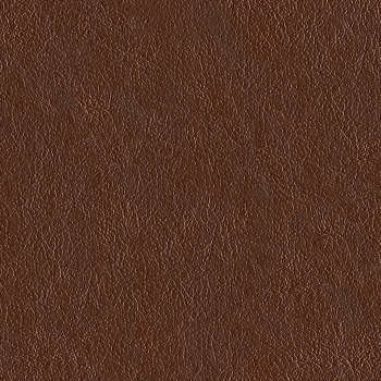 Seamless Leather PBR Texture