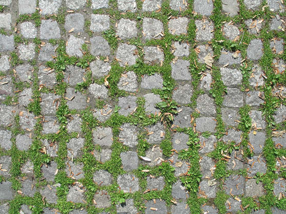 garden texture tiles Free tiles brick Background FloorsMedieval0063  Texture