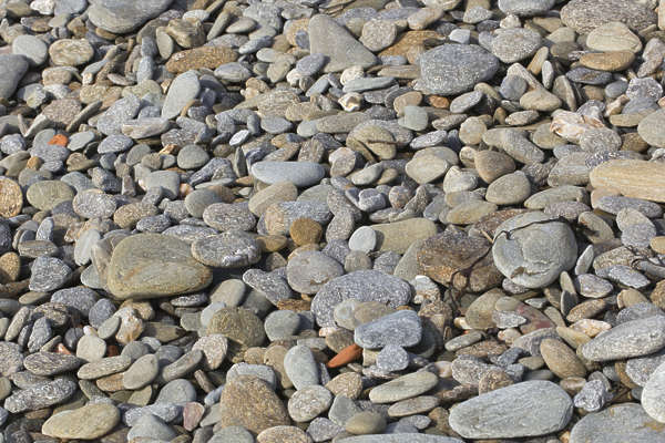 GravelCobble0023 - Free Background Texture - pebbles gravel cobble ...