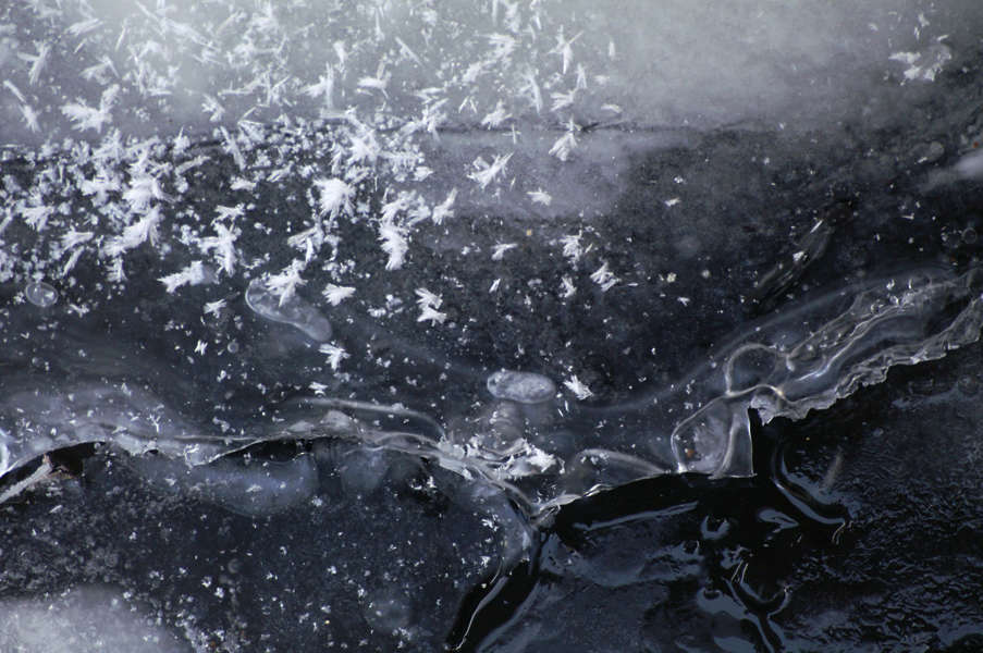 Ice0012 - Free Background Texture - ice dark