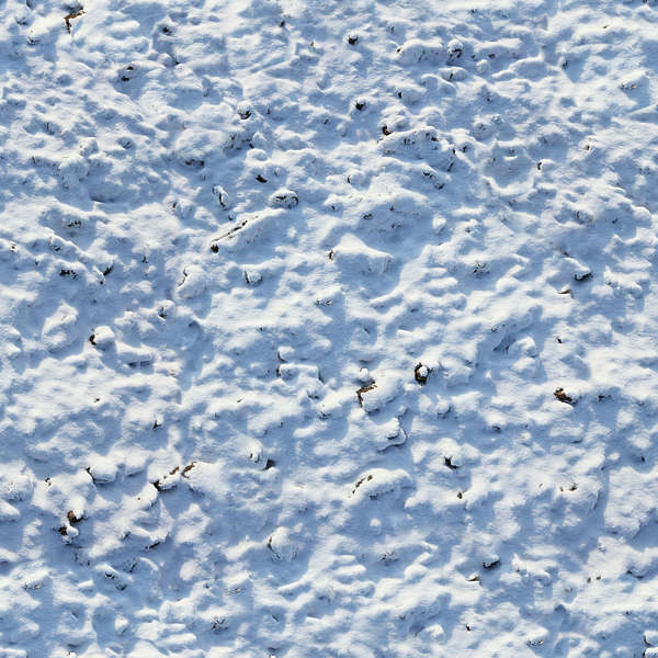 Snow0065 - Free Background Texture - snow ground snowy blue white light ...