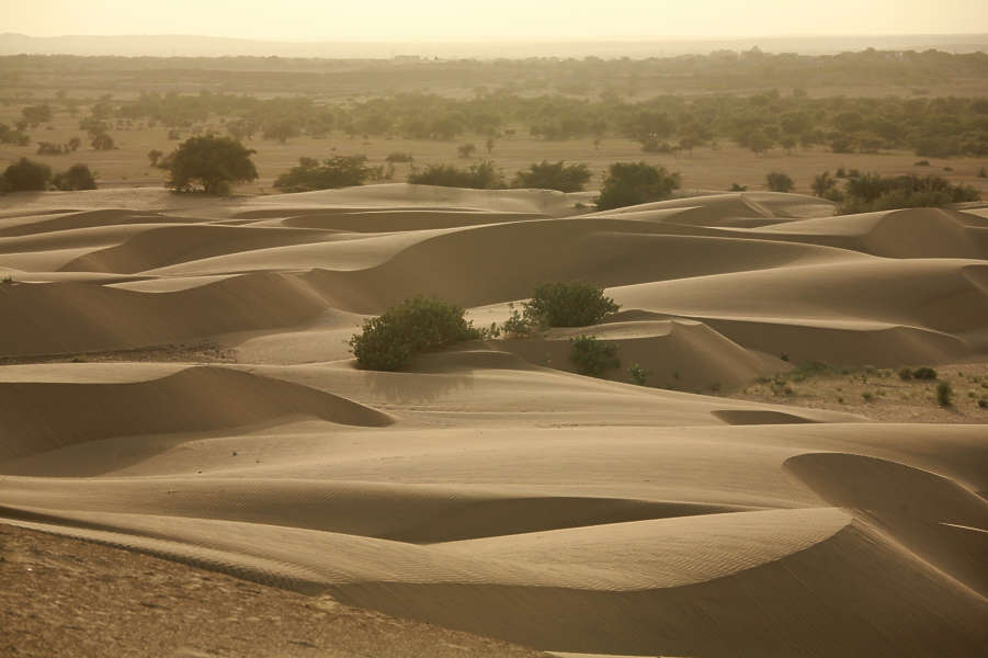 LandscapeDesert0001 - Free Background Texture - landscape desert sand