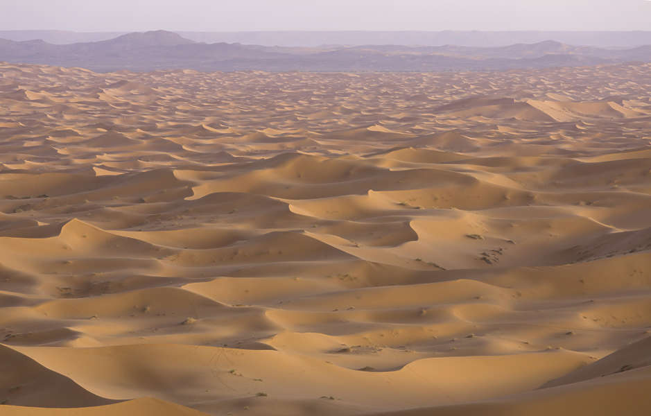 LandscapeDesert0015 - Free Background Texture - desert landscape dunes