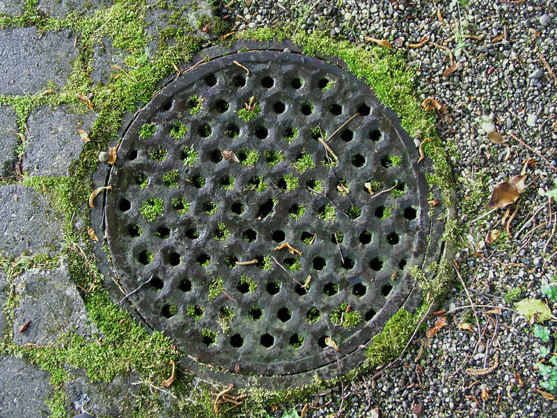 Sewer0011 - Free Background Texture - vent grate moss small round green ...