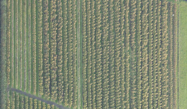 Farmland0064 - Free Background Texture - Aerial Farmland Crop Crops 