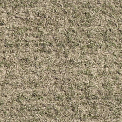 GrassDead0091 - Free Background Texture - aerial grass dead dry long ...