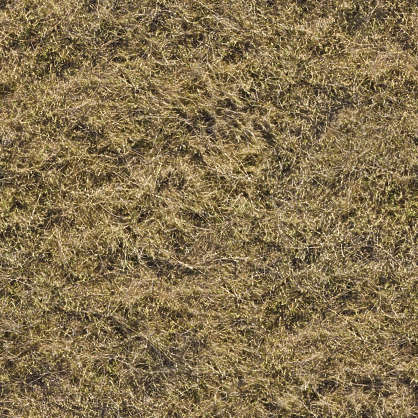 GrassDead0080 - Free Background Texture - aerial grass dry dead green ...