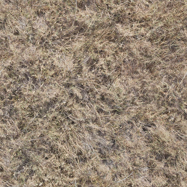 GrassDead0106 - Free Background Texture - aerial ground terrain grass ...