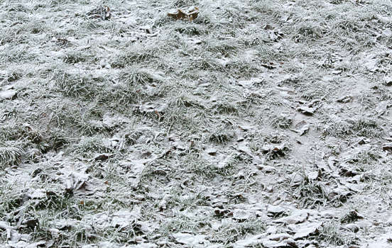 frozen ground texture