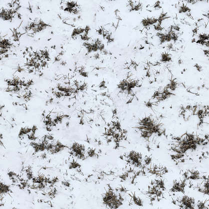 GrassFrozen0044 - Free Background Texture - snow ground grass green ...