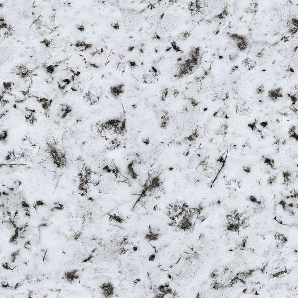 GrassFrozen0042 - Free Background Texture - snow ground grass green ...