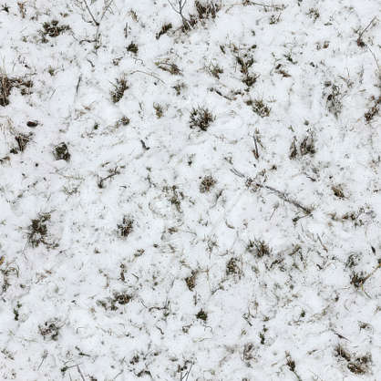 GrassFrozen0035 - Free Background Texture - snow ground green white ...