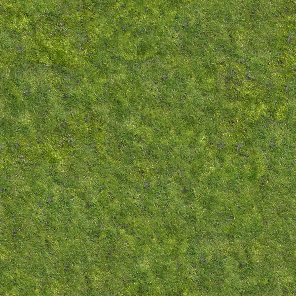 photoshop grass texture seamless
