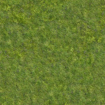 Grass0027 - Free Background Texture - grass short green saturated ...