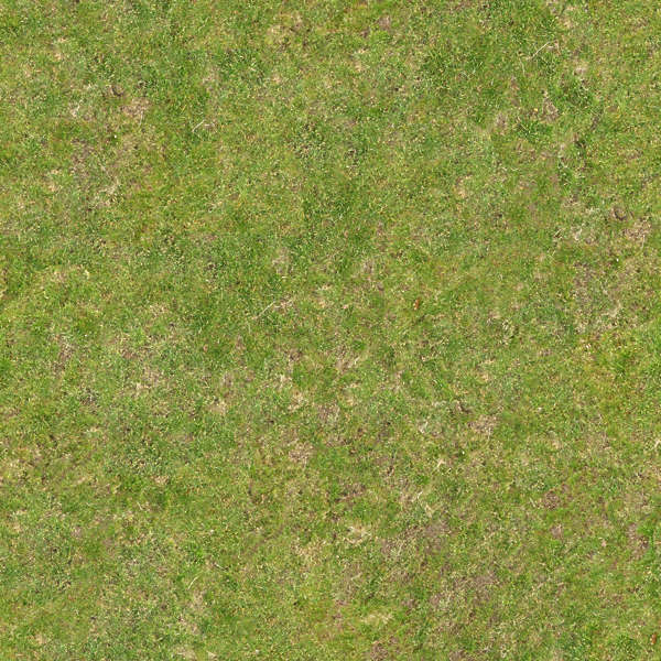 Grass0105 - Free Background Texture - grass short ground green brown ...