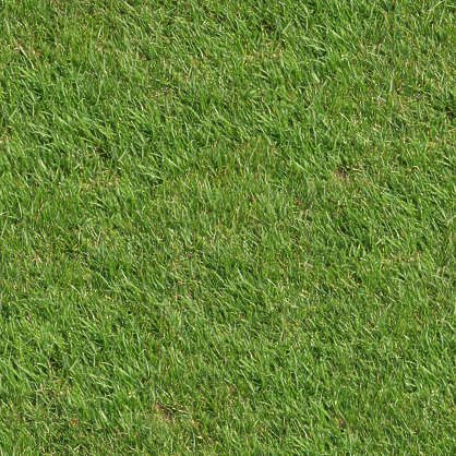 Grass0003 - Free Background Texture - grass short closeup green ...