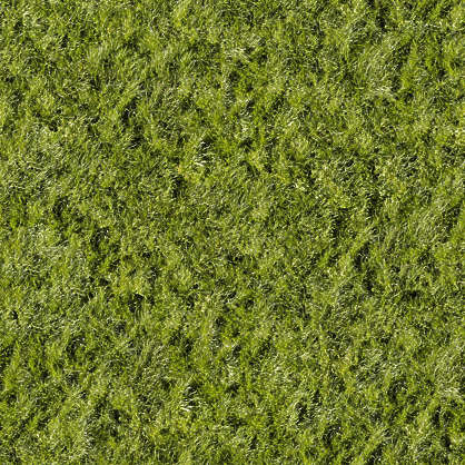 Grass0036 - Free Background Texture - grass short green saturated ...