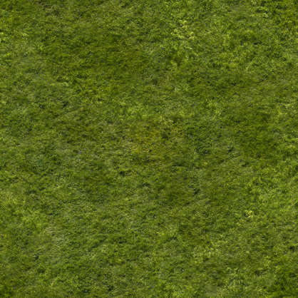 Grass0026 - Free Background Texture - grass short green saturated ...