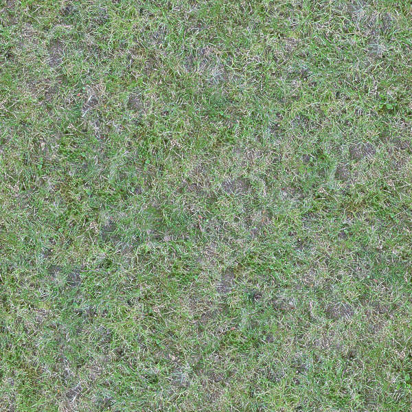 Grass0074 - Free Background Texture - grass short green beige gray grey ...