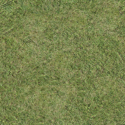 Grass0018 - Free Background Texture - grass short closeup dry dead ...