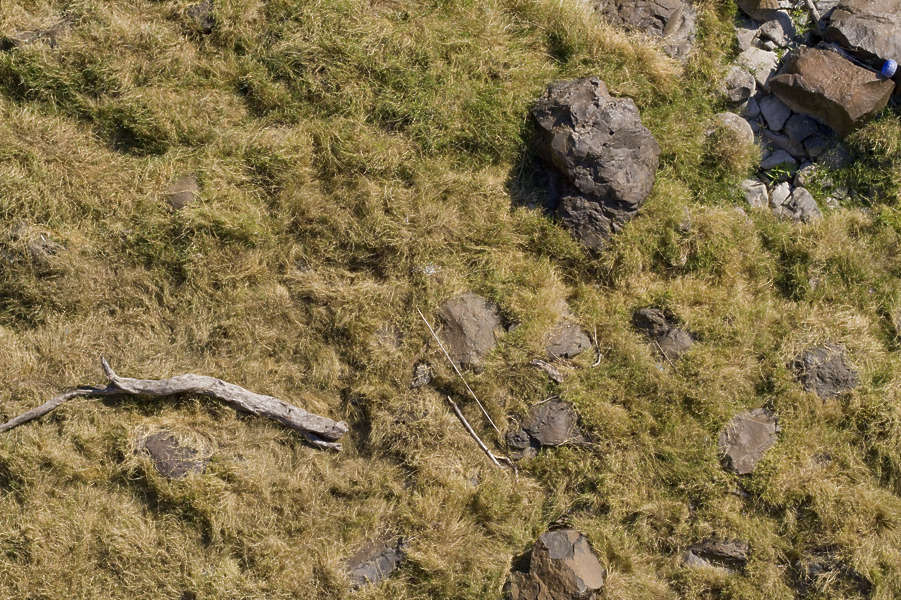 Grass0137 - Free Background Texture - grass rocks rock aerial green ...