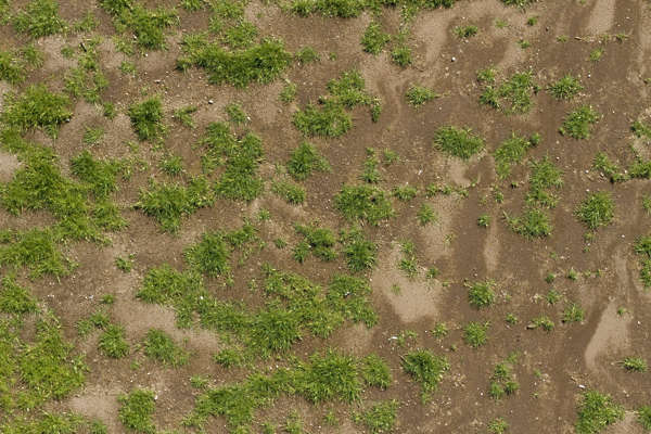 tiles terrain texture Background  Texture  short Free Grass0139  aerial grass