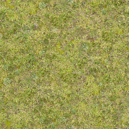 Grass0153 - Free Background Texture - gass short moss mossy green brown ...