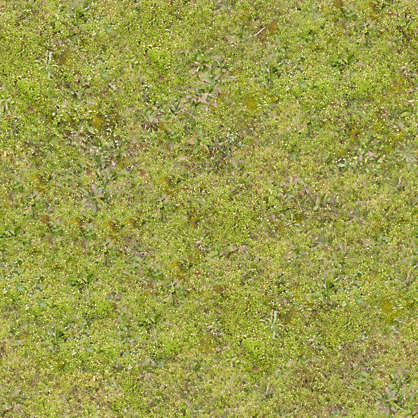 Grass0153 - Free Background Texture - gass short moss mossy green brown ...