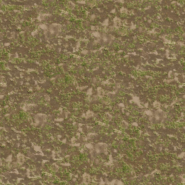 Grass0140 - Free Background Texture - aerial grass short patchy sand ...