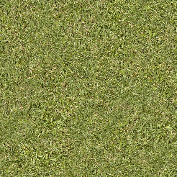 Grass0126 - Free Background Texture - grass green seamless seamless-x ...