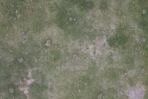 Grass0182 - Free Background Texture - aerial grass green brown beige