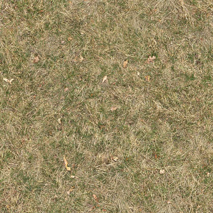 Grass0125 - Free Background Texture - grass short dry yellow green ...