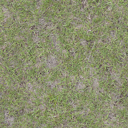 Grass0166 - Free Background Texture - aerial ground terrain grass short ...